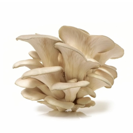 MÉLANGE SAVEUR