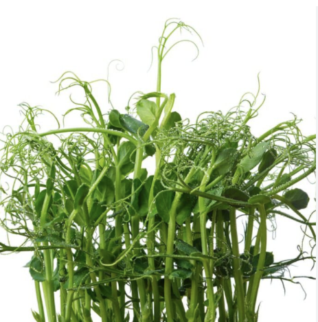 CRUNCHY